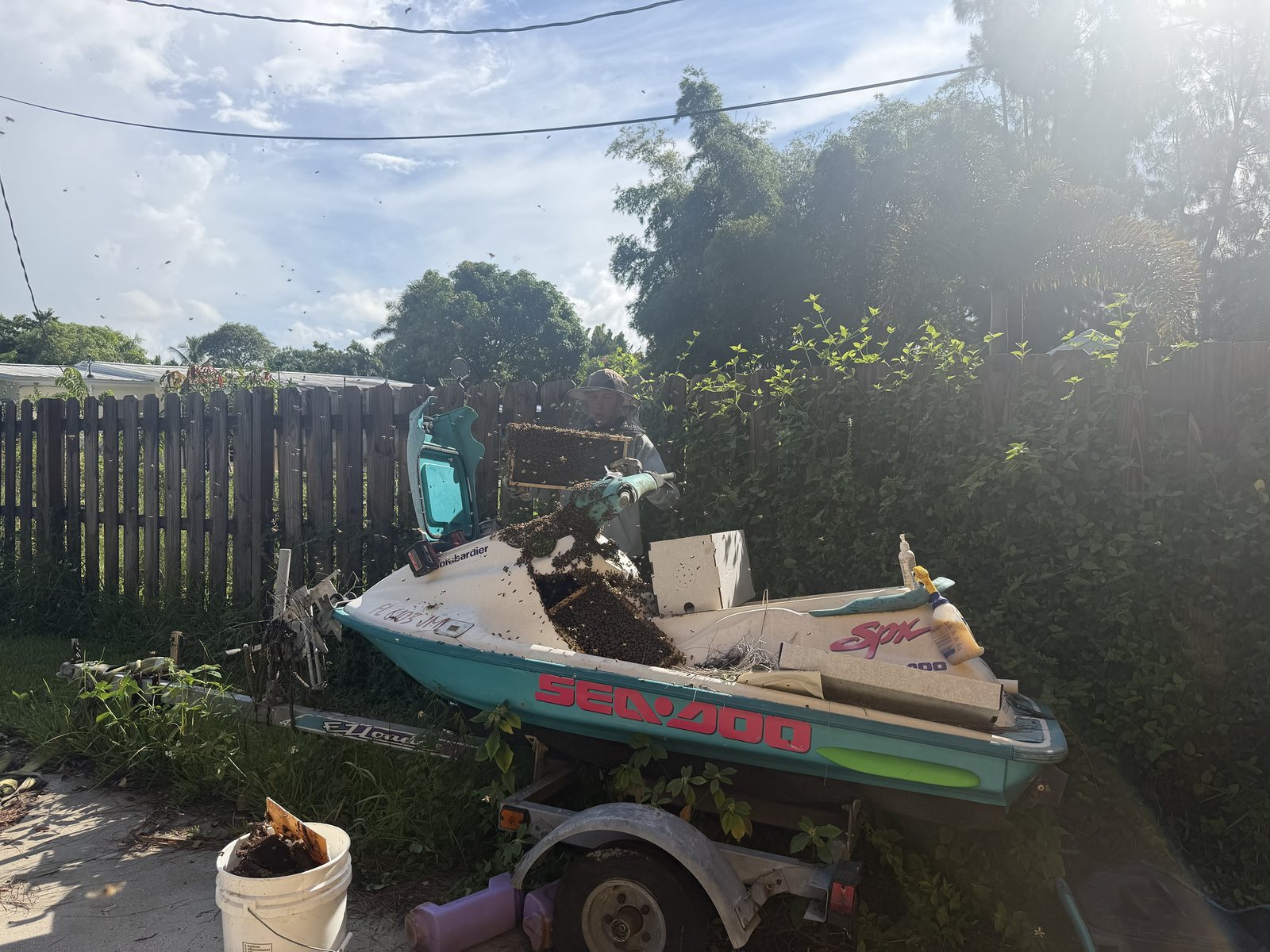 Beekeeper lifting a frame of comb and bees from a honey bee colony nesting inside a jet ski in Wellington, Florida