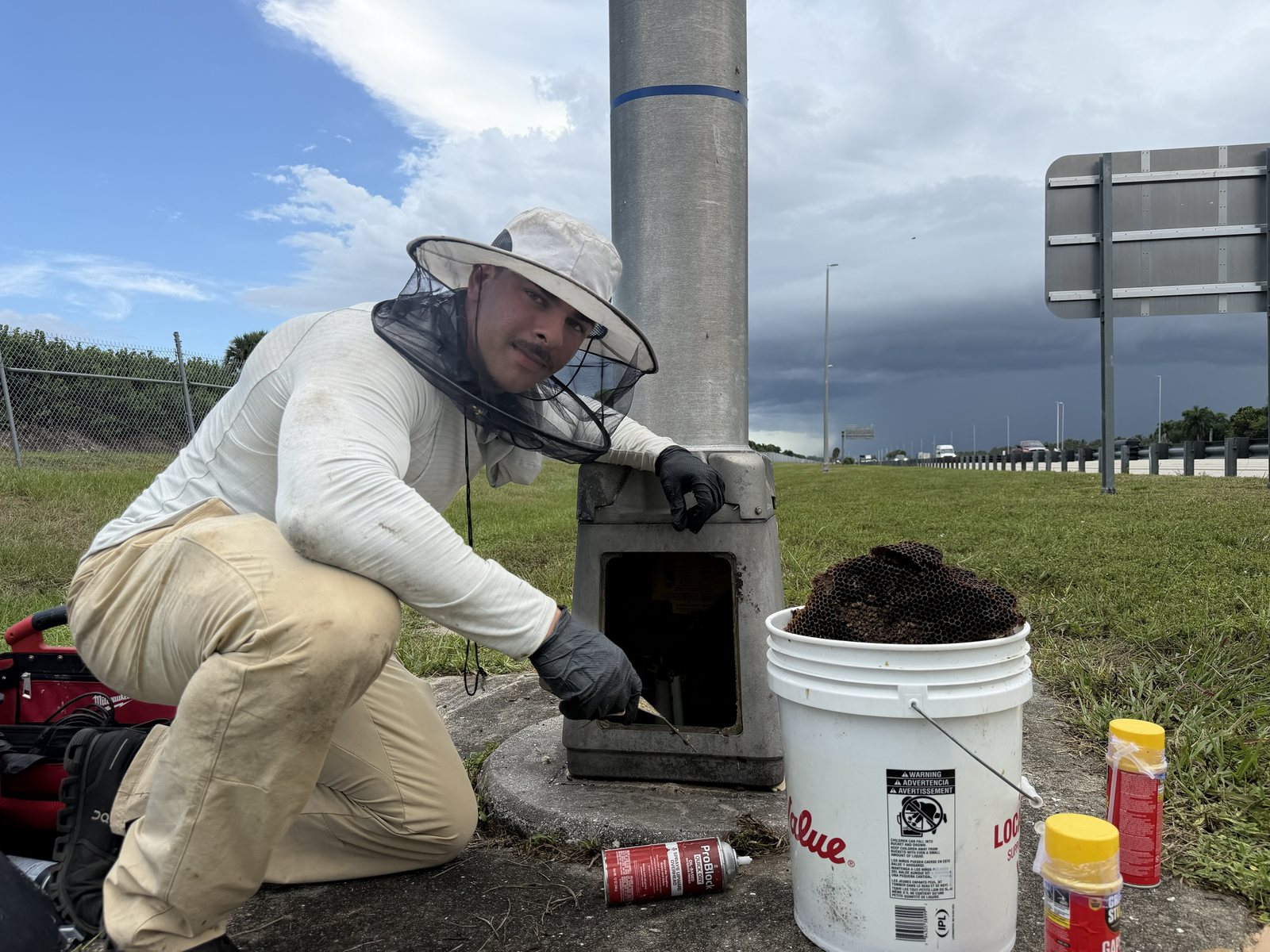 Beekeeper in protective veil kneeling beside a highway light pole, removing a hive with a bucket of comb alongside