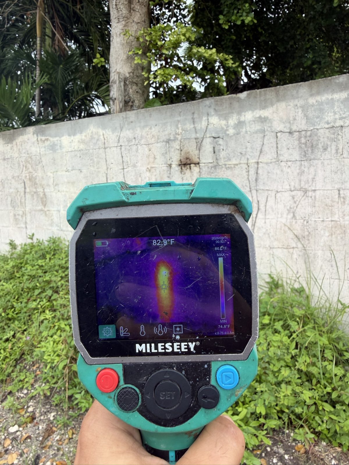 Thermal camera showing the heat signature of a honey bee colony inside a cinderblock wall